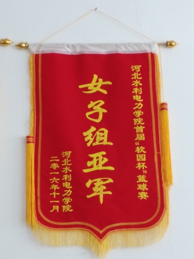 雷竞技网站